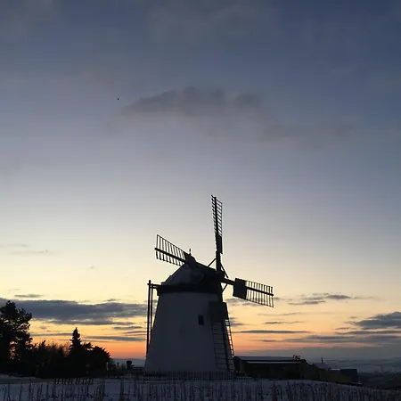 Gartenapartment Marilyn Retz