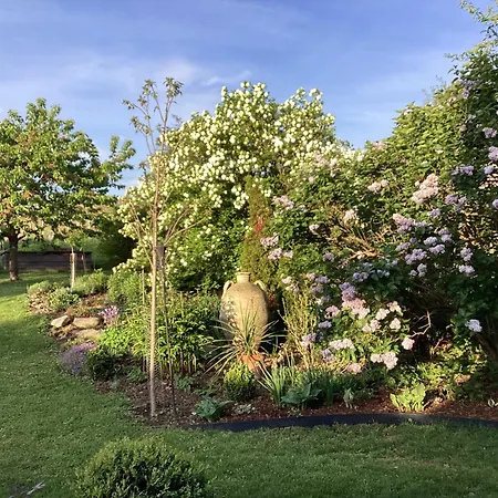 Daire Gartenapartment Marilyn Retz
