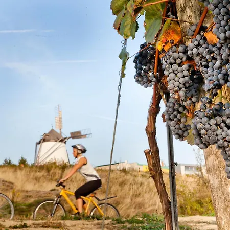 Gartenapartment Marilyn Appartement *