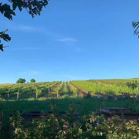 Appartement Gartenapartment Marilyn Retz