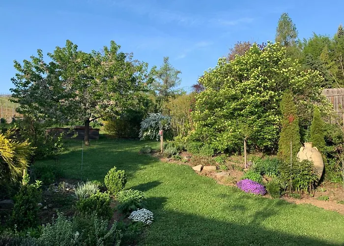 Lejlighed Gartenapartment Marilyn Retz