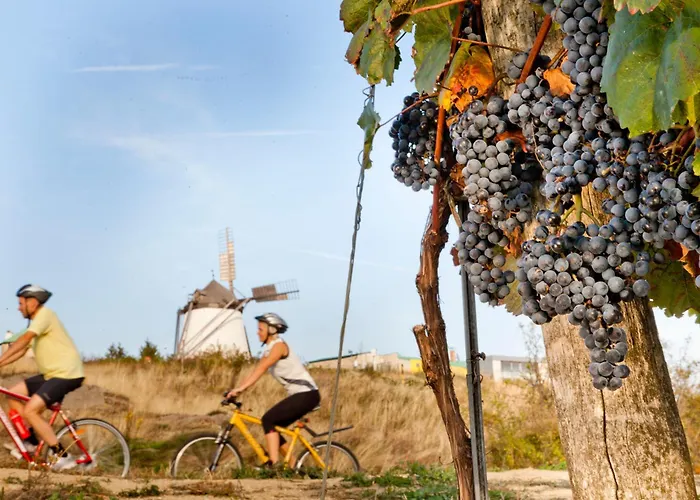 Gartenapartment Marilyn Lejlighed *