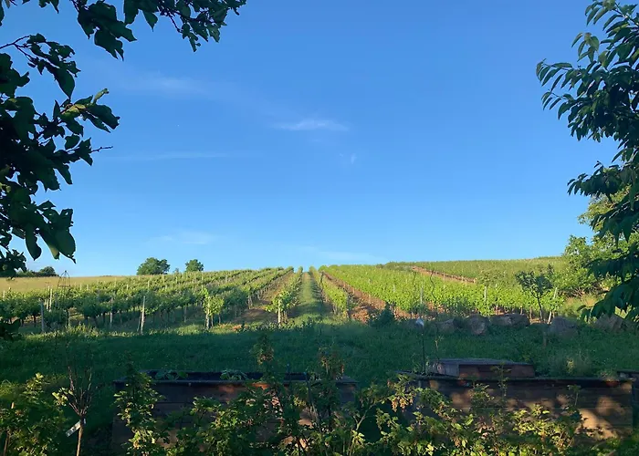 Lejlighed Gartenapartment Marilyn Retz